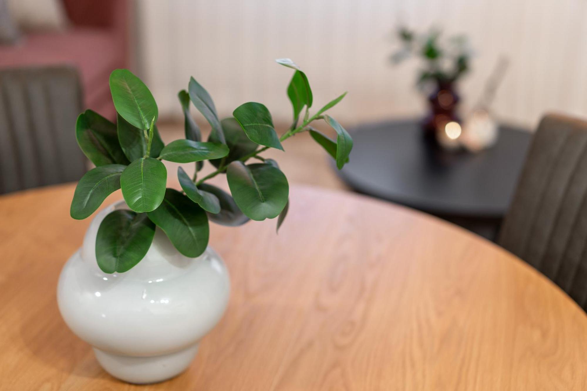 Yashar Suites Jlm 예루살렘 외부 사진